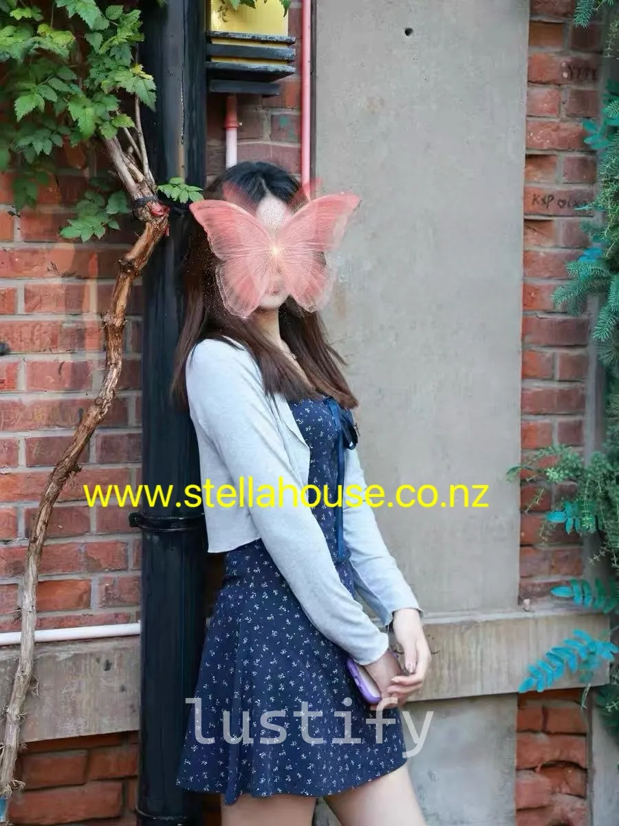 Photo 1 of Momo(Stella House)